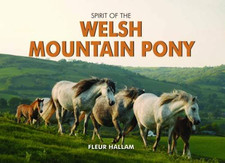 Spirit of the Welsh Mountain