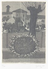 GULINO NUNZIO "GELSO E GIRASOLE "1989  Acquaforte con fondino carta cina -COMISO