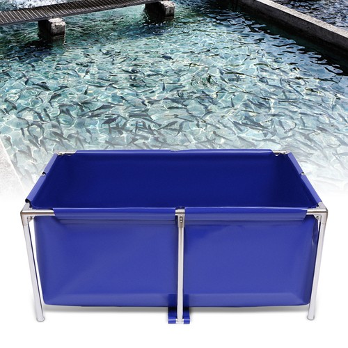 Cuboide blu tela pesci
