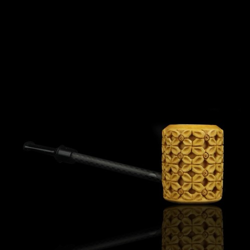Pipa poker ornata - pipa,