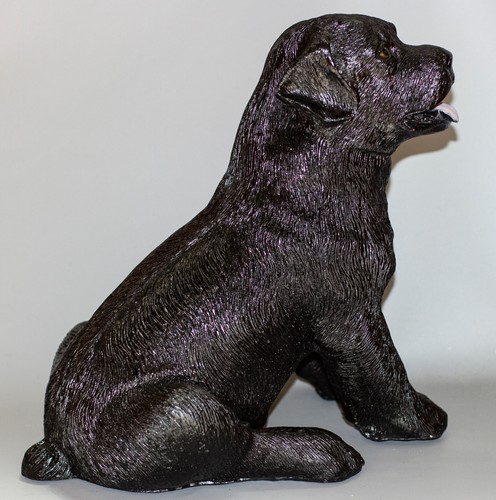 Large dog coin - large, corso