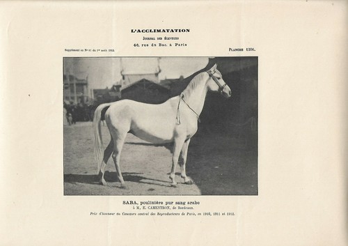 Stampa antica fotografica