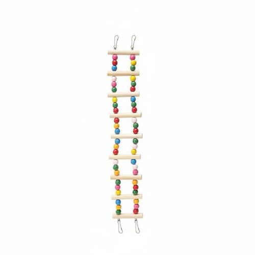 Scala pappagalli perline - scala,