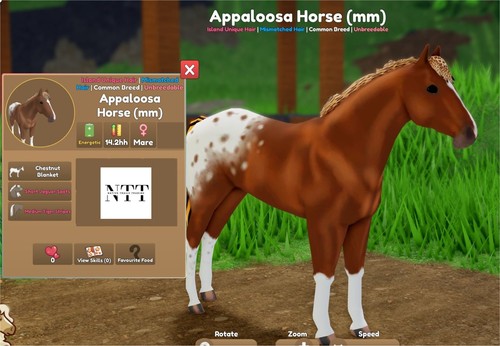 Wild horse islands jaguar - islands,