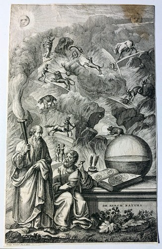 Giarré luigi attivo - luigi, (attivo