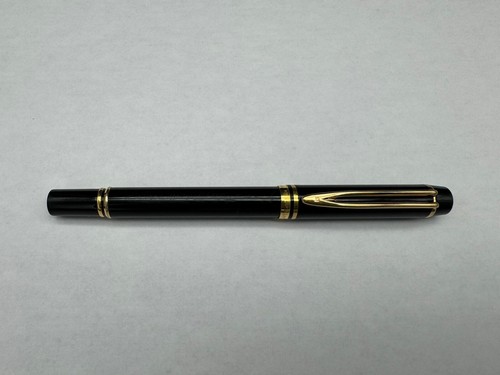 Penna stilografica waterman - stilografica,
