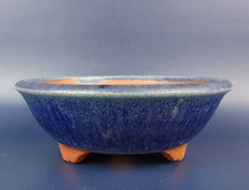 Vaso bonsai giapponese