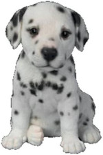 Vivid Arts Cucciolo dalmata