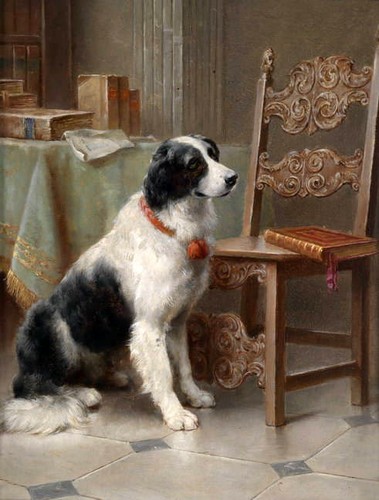 Quadro olio cane - , in