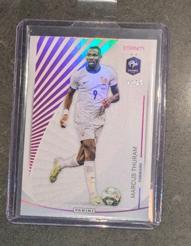 Panini eternity bleus - panini,
