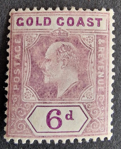 Gold coast kevii - gold,