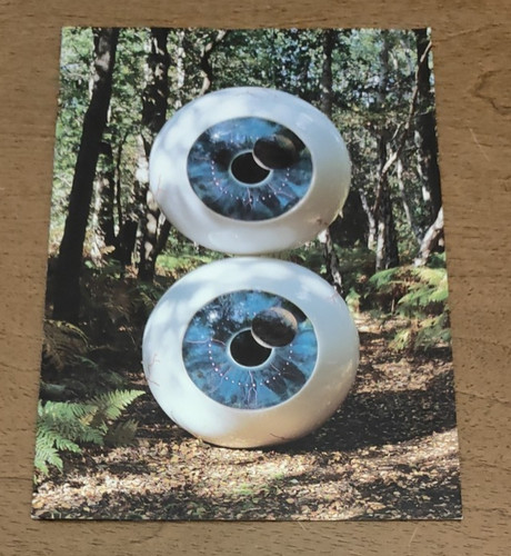 Opuscolo pink floyd pulse - ,