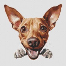 Cane cucciolo Cirneco dell'Etna. Punto croce grande, moderno, originale