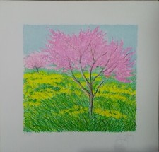 FRANCO AZZINARI Litografia cm 35x33 Es.:LXXII/CC