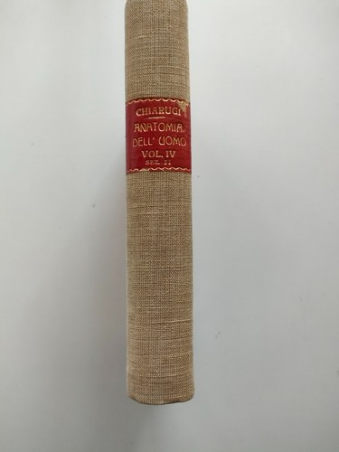 Istituzioni anatomia - di,