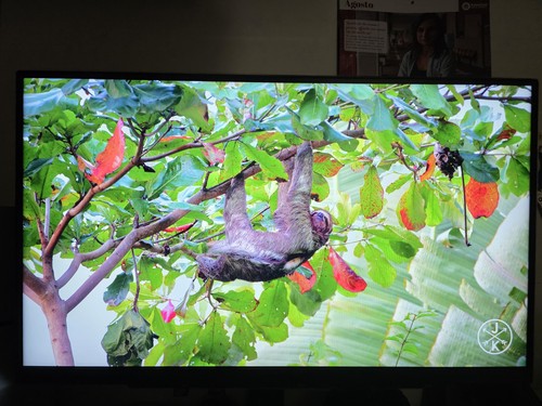 Monitor ultragear 27gr75q - lg,
