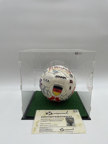 Bayern calcio squadra - fc,