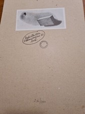 ALDO RONTINI  -  Stampa