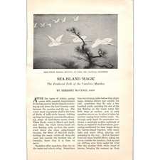 Sea-Island Magic Airons