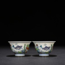 Antica tazza alghe pesce loto