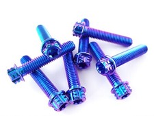 Ponte forcella viti in titanio