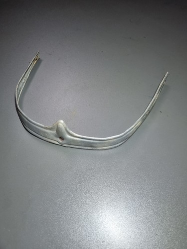 Vespa acma struzzo - vespa,