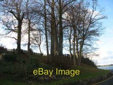 Photo 6x4 Shelter belt around