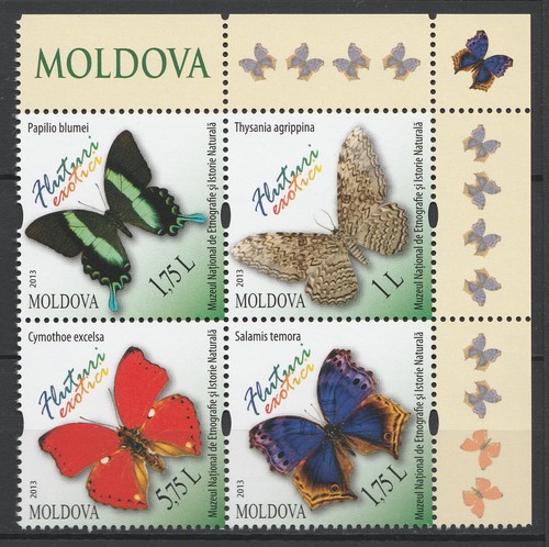 Moldavia 2013 farfalle - farfalle, 4