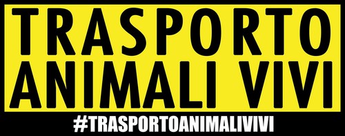 Adesivo trasporto animali vivi - adesivo,