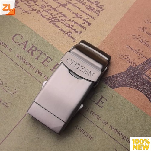 Fibbia citizen promaster - fibbia,