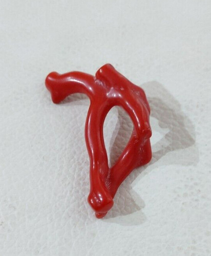 Ramo corallo rosso italiano - corallo,
