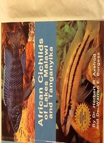 African cichlids lakes - african,