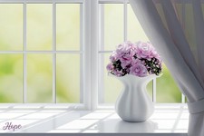 365844 Finestra della Speranza