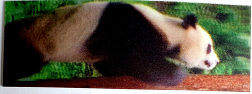 Segnalibro lenticolare