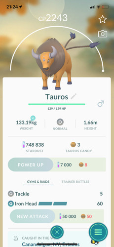 Tauros pokemon gen1 america - tauros,