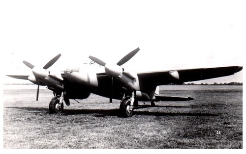 Mosquito xviii tsese - mosquito,