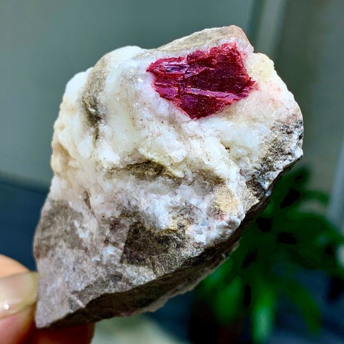 79g raro bellissimo - raro,