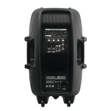 OMNITRONIC VFM 215 A CASSA