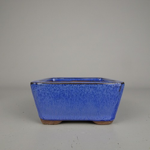 Vaso per bonsai giapponese