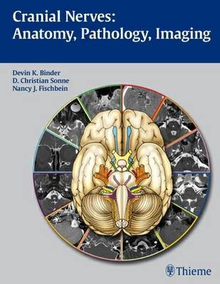 Cranial nerves anatomy - cranial,