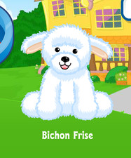 Webkinz Classic Bichon Frise
