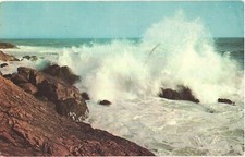 Bellissima cartolina Rolling Surf