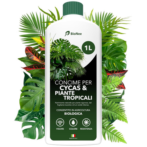 Concime per cycas - concime, e