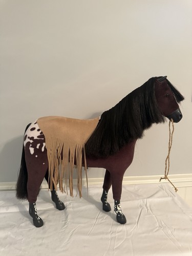 Cavallo kaya appaloosa - kaya,