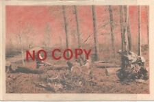 Grosseto 16.1.1931. Taglio del bosco