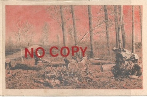 Grosseto 1931 taglio del - 16.1.1931.,