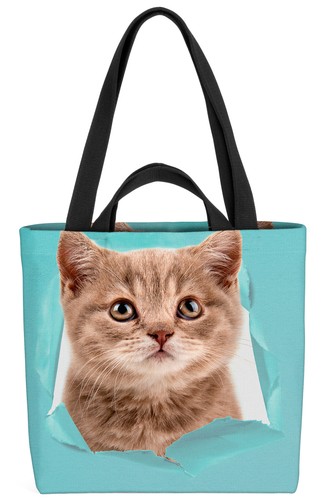 Testa gattino gatto animale - gattino,