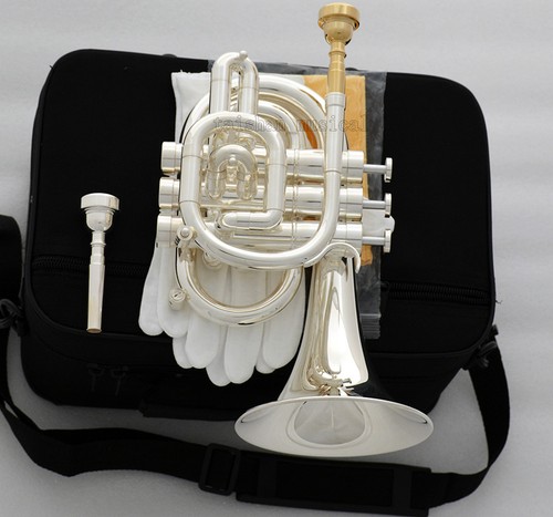 Tromba tascabile professionale