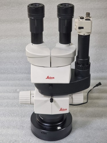 Microscopio stereo zoom leica - stereo,