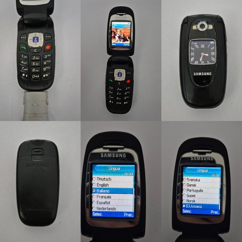 Cellulare samsung sgh e620 - cellulare,